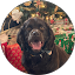 Profile photo of Scott Smalley