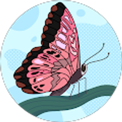 Profile photo of Magaly Mariscal