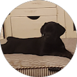 Profile photo of Jace Melder