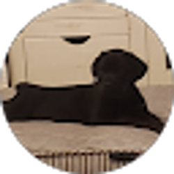 Profile photo of Jace Melder