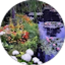 Profile photo of Maureen Romano