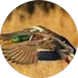 Profile photo of Jerry Lebouef