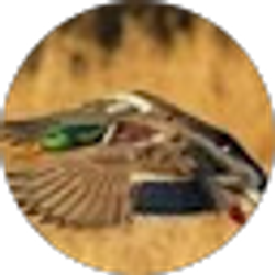 Profile photo of Jerry Lebouef