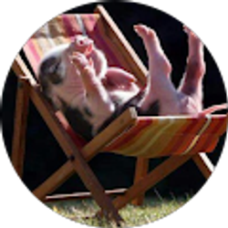 Profile photo of Amy Cantrell