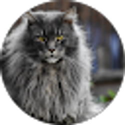 Profile photo of James S