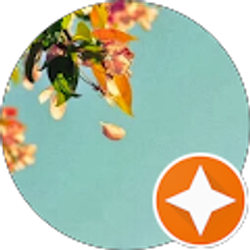 Profile photo of Li Fiona