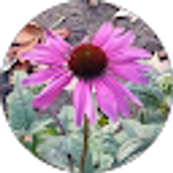 Profile photo of Lisa Payne