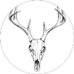 Profile photo of Adam Sanders