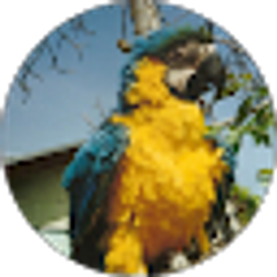 Profile photo of Richard (Custom Rick)