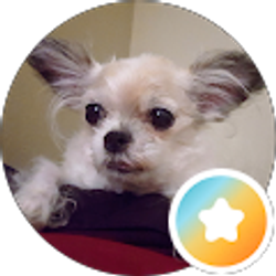 Profile photo of Abbie Godles
