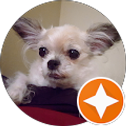 Profile photo of Abbie Godles