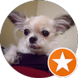 Profile photo of Abbie Godles