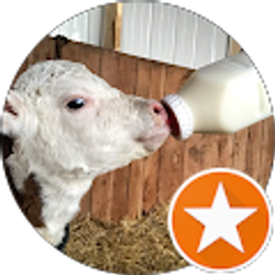 Profile photo of Running Wild Acres Corwin Cockey