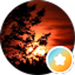 Profile photo of S