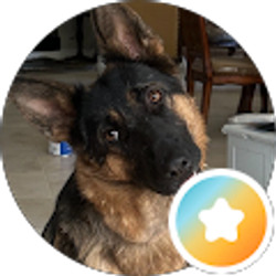 Profile photo of CLJ J