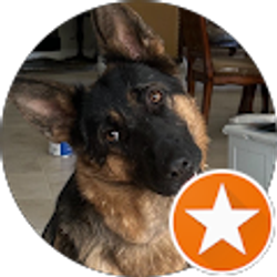 Profile photo of CLJ J