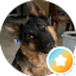 Profile photo of CLJ J