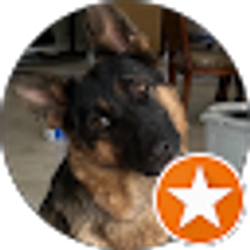 Profile photo of CLJ J