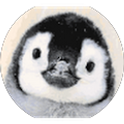 Profile photo of Albert J. Wong