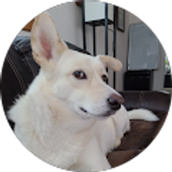 Profile photo of Richard Olson