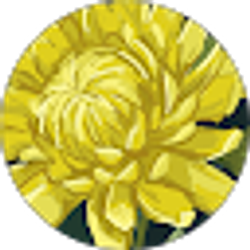 Profile photo of Nikki Crane