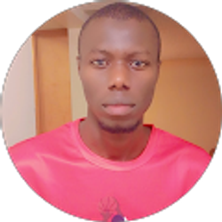 Profile photo of Lamin boy Jarju