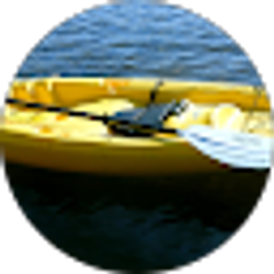 Profile photo of Robin Halsey