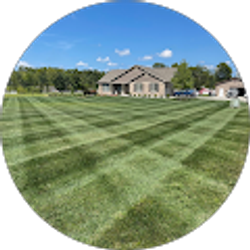 Profile photo of Green Feed