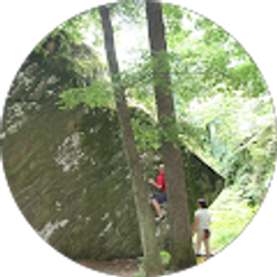 Profile photo of Judie Cummings