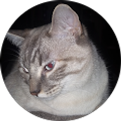 Profile photo of amanda ratcliff