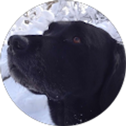 Profile photo of Peter McDaniel