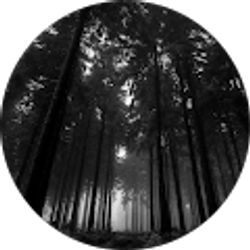 Profile photo of Texaco Tone