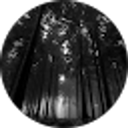 Profile photo of Texaco Tone