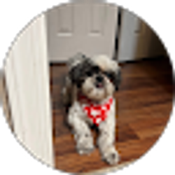 Profile photo of Isrrael Giron