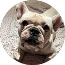 Profile photo of leslie Cruz