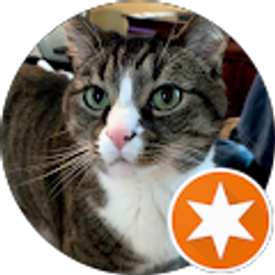 Profile photo of jay alexander