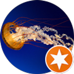 Profile photo of Ch Ad