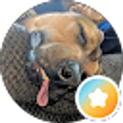 Profile photo of Lance Riehl