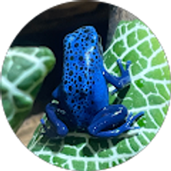 Profile photo of Michael Swertinski