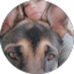 Profile photo of Suzanne Sullivan