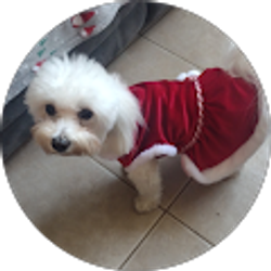 Profile photo of Raymond “Tanktill” Carrasquillo