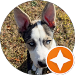 Profile photo of Lynn Clifton