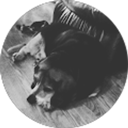 Profile photo of Michelle Riddle