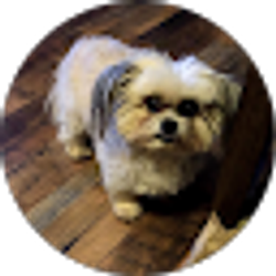 Profile photo of Elizabeth Messer