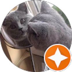 Profile photo of Tom Johnson