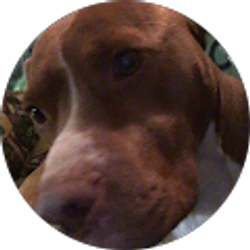 Profile photo of Caleb Slaps