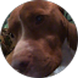 Profile photo of Caleb Slaps