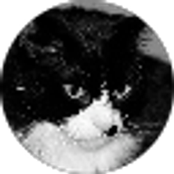 Profile photo of Andrea Parker