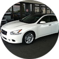 Profile photo of David Shields