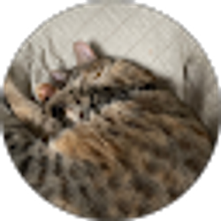 Profile photo of Brooks Brandon
